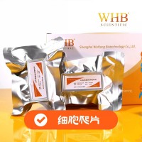 上海卧宏（WHB) 细胞爬片