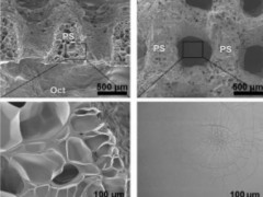 国内三校联手登顶《Science》子刊：基于低温凝胶纤维的3D生物打印支架