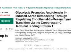 Hypertension：广州医科大学发现主动脉重构调控新机制