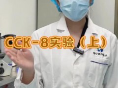 CCK8实验-上