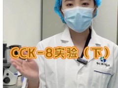 CCK8实验-下