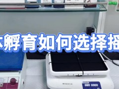 WB抗体孵育如何选择摇床