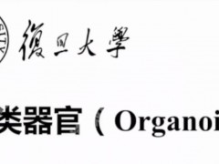 器官的发展、应用与展望