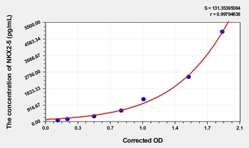 Human NKX2-5(NK2 Homeobox 5) ELISA Kit    orb1817355