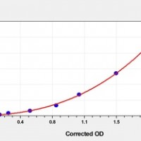 Human HIF3α(Hypoxia Inducible Factor 3 Alpha) ELISA Kit      orb1817339