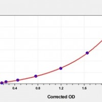 Human CALHM6(Protein FAM26F) ELISA Kit      orb1817338