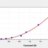 Rat KLb(Klotho Beta) ELISA Kit    orb1817335