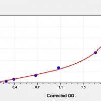 Rat FGFR4(Fibroblast Growth Factor Receptor 4) ELISA Kit     orb1817334