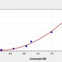 Mouse IAPP(Islet Amyloid Polypeptide) ELISA Kit      orb1817332