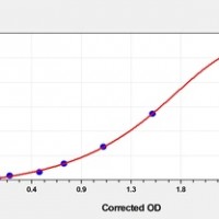 Mouse FOXO1(Forkhead Box Protein O1) ELISA Kit     orb1817326