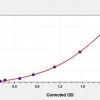 Rat TRPA1(Transient Receptor Potential Cation Channel Subfamily A, Member 1) ELISA Kit    orb1817322