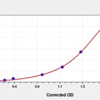 Human COL5a1(Collagen Type V Alpha 1) ELISA Kit     orb1817320