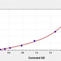 Human FATP6(Fatty Acid Transport Protein 6) ELISA Kit      orb1817318