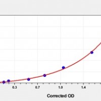 Human FATP2(Fatty Acid Transport Protein 2) ELISA Kit      orb1817315