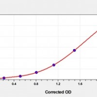 Human SPINT1(Serine Peptidase Inhibitor, Kunitz Type 1) ELISA Kit    orb1817312