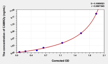 Mouse CAMK2γ(Calcium/Calmodulin Dependent Protein Kinase II Gamma) ELISA Kit     orb1817294