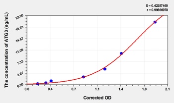 Rat ATG3(Autophagy Related Protein 3) ELISA Kit    orb1736752