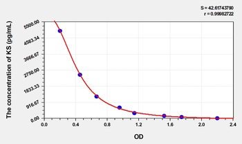 Human KS(Keratan Sulfate) ELISA Kit Catalog Number: orb1736569