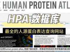 The Human Protein Atlas使用指南