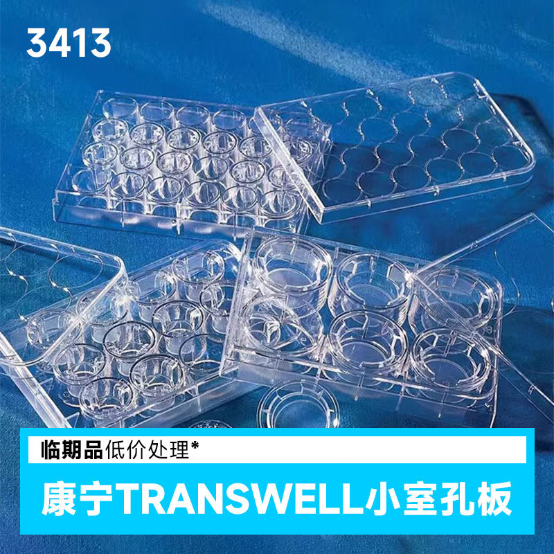 临期 康宁Transwell-24膜嵌套，6.5mm膜直径 3413