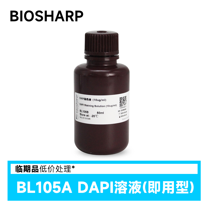 临期 Biosharp白鲨 DAPI溶液(即用型) 100ml/瓶 BL105A