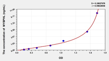 Human MYBPHL(Myosin-binding protein H-like) ELISA Kit Catalog Number: orb1146835