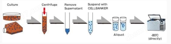 干细胞冻存液 Stem-Cellbanker GMP grade