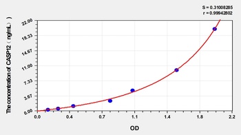 Rat CASP12(Caspase 12) ELISA Kit Catalog Number: orb1146779