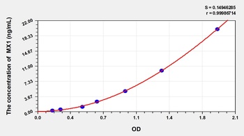 Rat MX1 ELISA Kit Catalog Number: orb782052