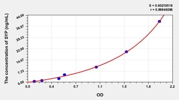 Rat SYP ELISA Kit Catalog Number: orb782040