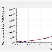 Mouse RSPO2 ELISA Kit Catalog Number: orb781989