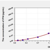 Animal IFNt ELISA Kit Catalog Number: orb781975