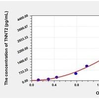 Canine TNNT2 ELISA Kit Catalog Number: orb781963