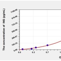 Primate INS ELISA Kit Catalog Number: orb781955