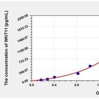 Mouse WNT11 ELISA Kit Catalog Number: orb781953