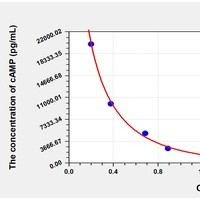 Other cAMP ELISA Kit Catalog Number: orb781952