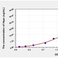 Porcine Hepc ELISA Kit Catalog Number: orb781950