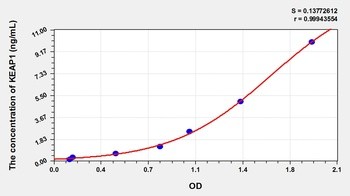 Mouse KEAP1 ELISA Kit Catalog Number: orb781942