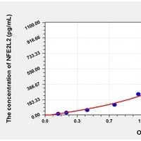 Mouse NFE2L2 ELISA Kit Catalog Number: orb781941