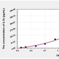 Primate IL1b ELISA Kit Catalog Number: orb781933