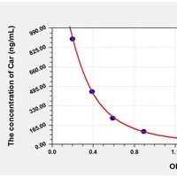 Other Car ELISA Kit Catalog Number: orb781923